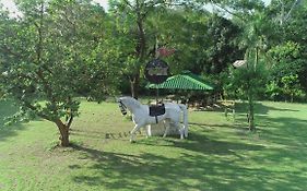 Kabeela Tashree Resort